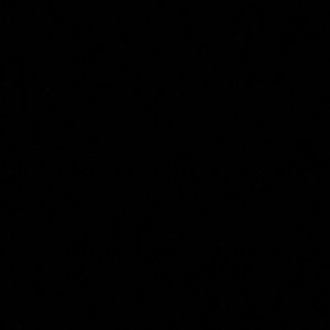 Meet your Posher, Brock